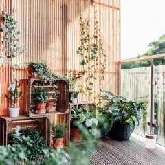 Sichtschutz und Pflanzen auf einem Balkon