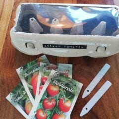 Ein Mini-Gewächshaus im Eierkarton ist ideal, um Tomatenpflanzen vorzuziehen