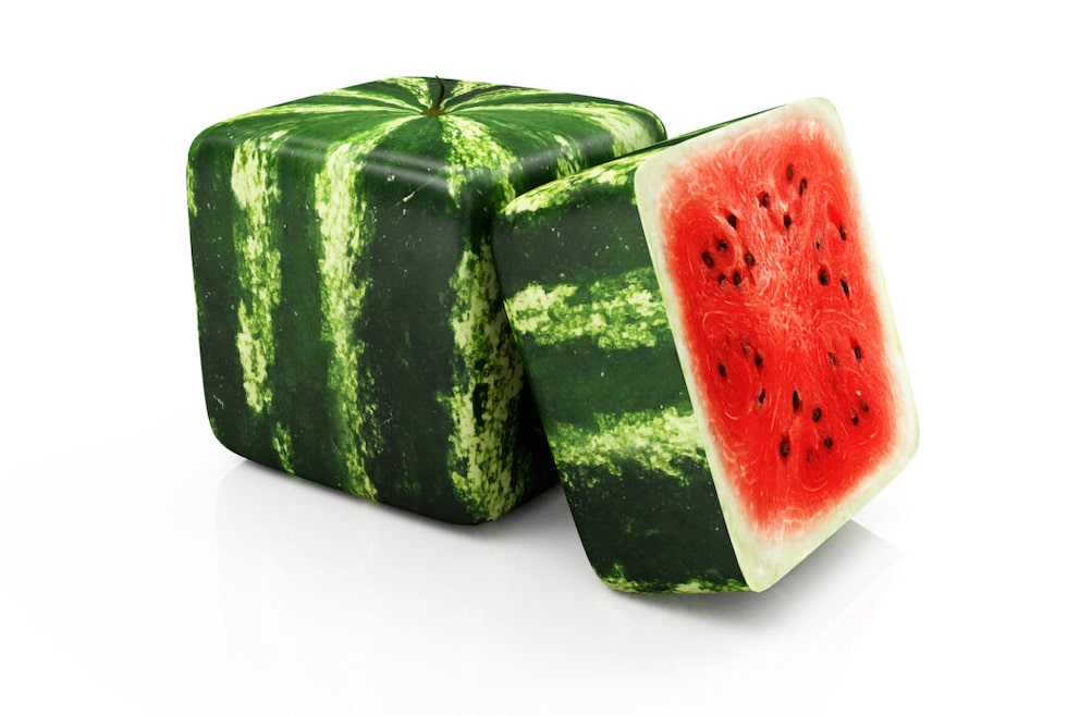 Eckige Wassermelonen – ein Trend zum Nachmachen?
