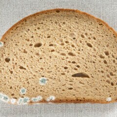 Tipps, mit denen Brot vom Bäcker länger haltbar bleibt und langsamer schimmelt