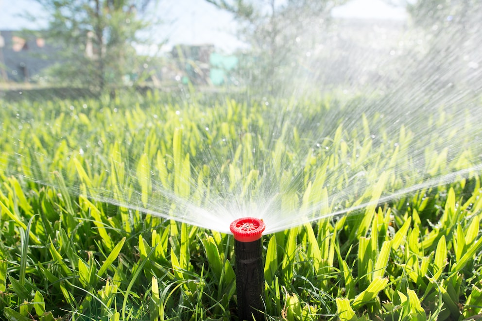 Garten automatisch bewässern: Tipps zu Planung und Installation