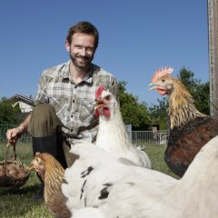 Mann mit Hühnern im Garten