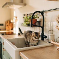 Insbesondere die Küche verrät schnell, ob es im eigenen Heim sauber ist